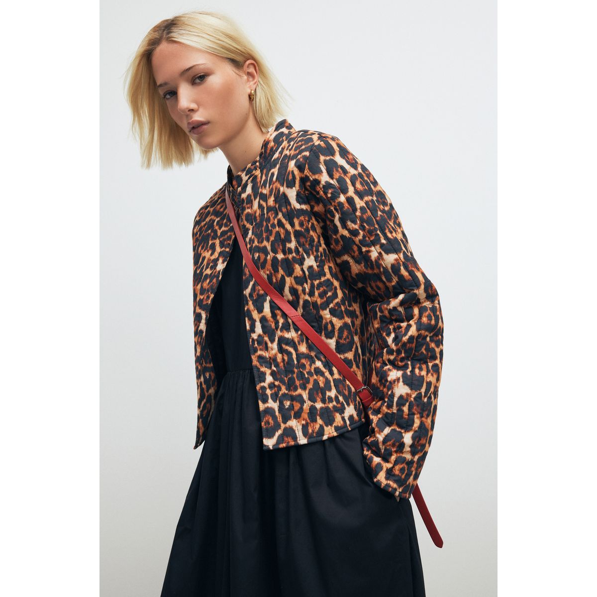 Veste rembourrée imprimé animal, NEXT