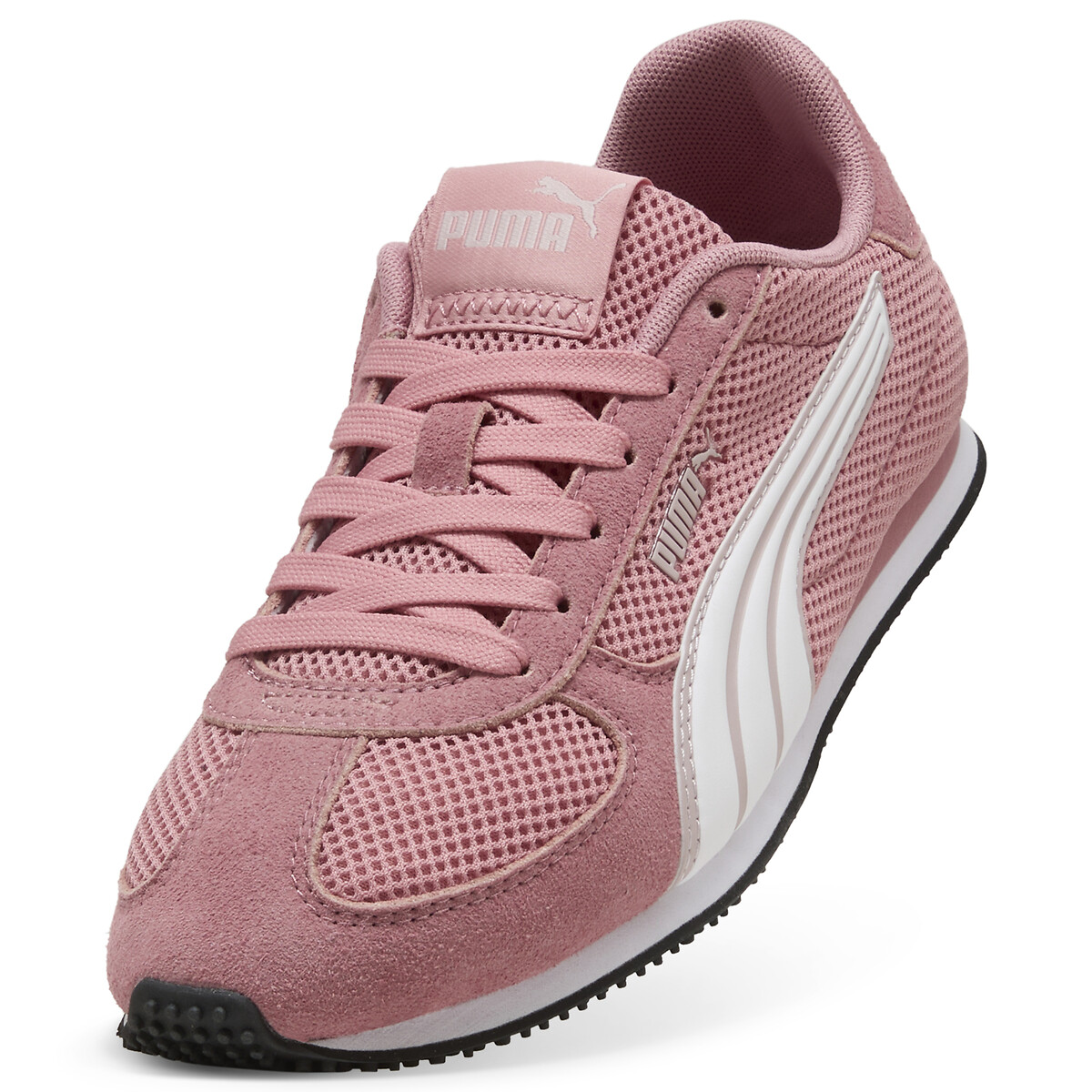 . rosa, PUMA