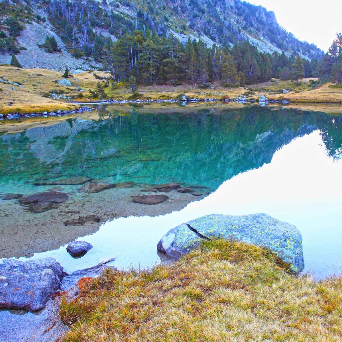 Tableau Mural Vue Lac Pyrénnées MONTAGNE tableaux sur toile-vert, CEANOTHE