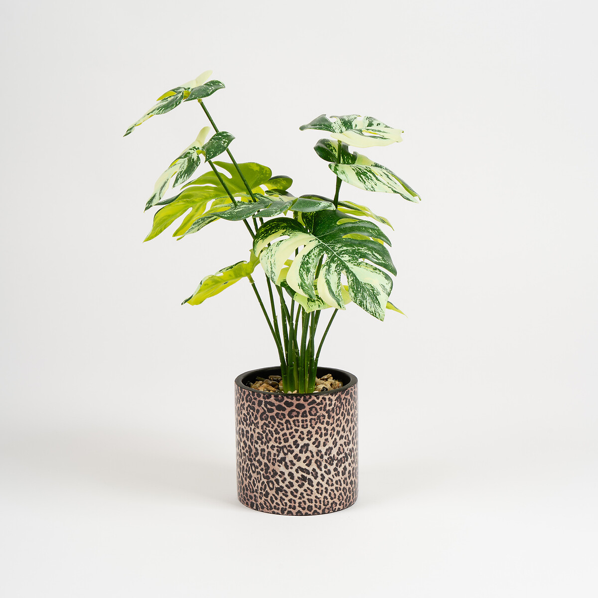 47cm Variegated Monstera in Leopard Print Pot green, SO'HOME