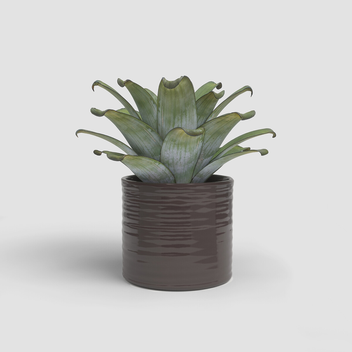 Vaso Fortuna 18, ARTEVASI castanho , ARTEVASI
