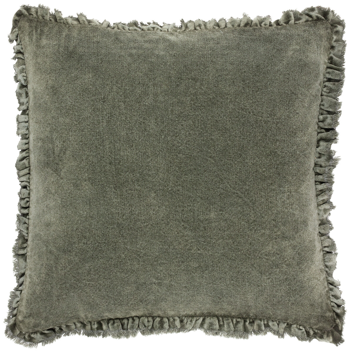Bertie Cotton Velvet Cushion moss , YARD