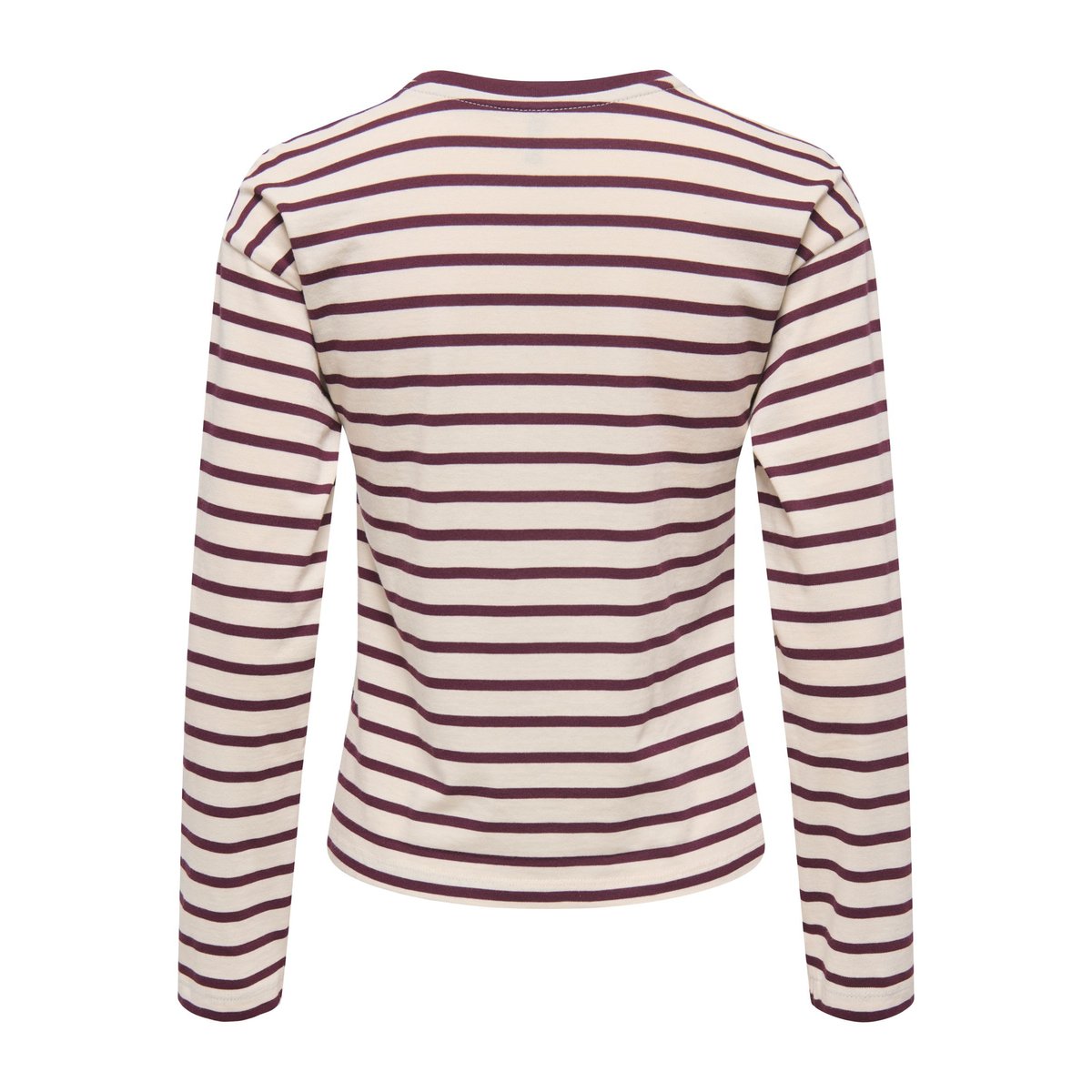 Top birch 1, ONLY