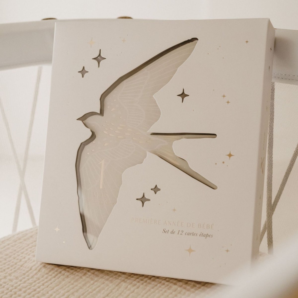 Cartes étapes Birds couleur unique, ZAKUW