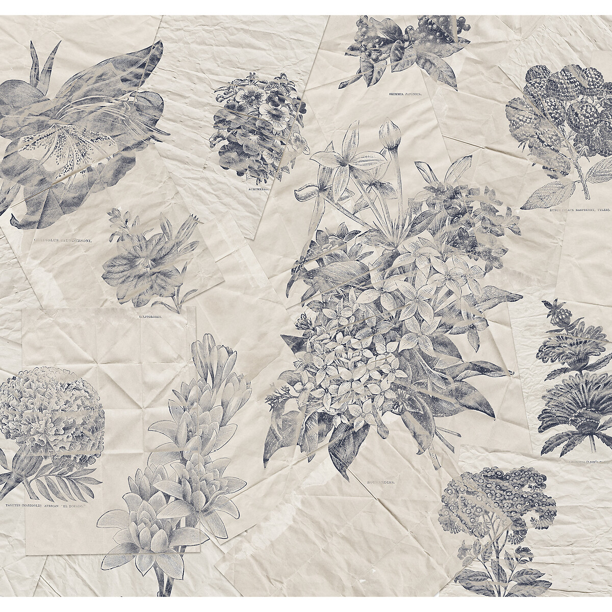 Papel de parede foto mural Botanical Papers, da Interelife multicolor, INTERELIFE