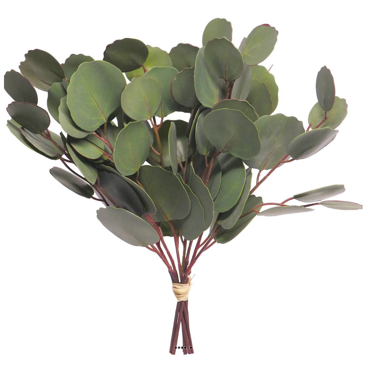 Buisson de branches d’eucalyptus artifi v002239, ARTIFICIELLES
