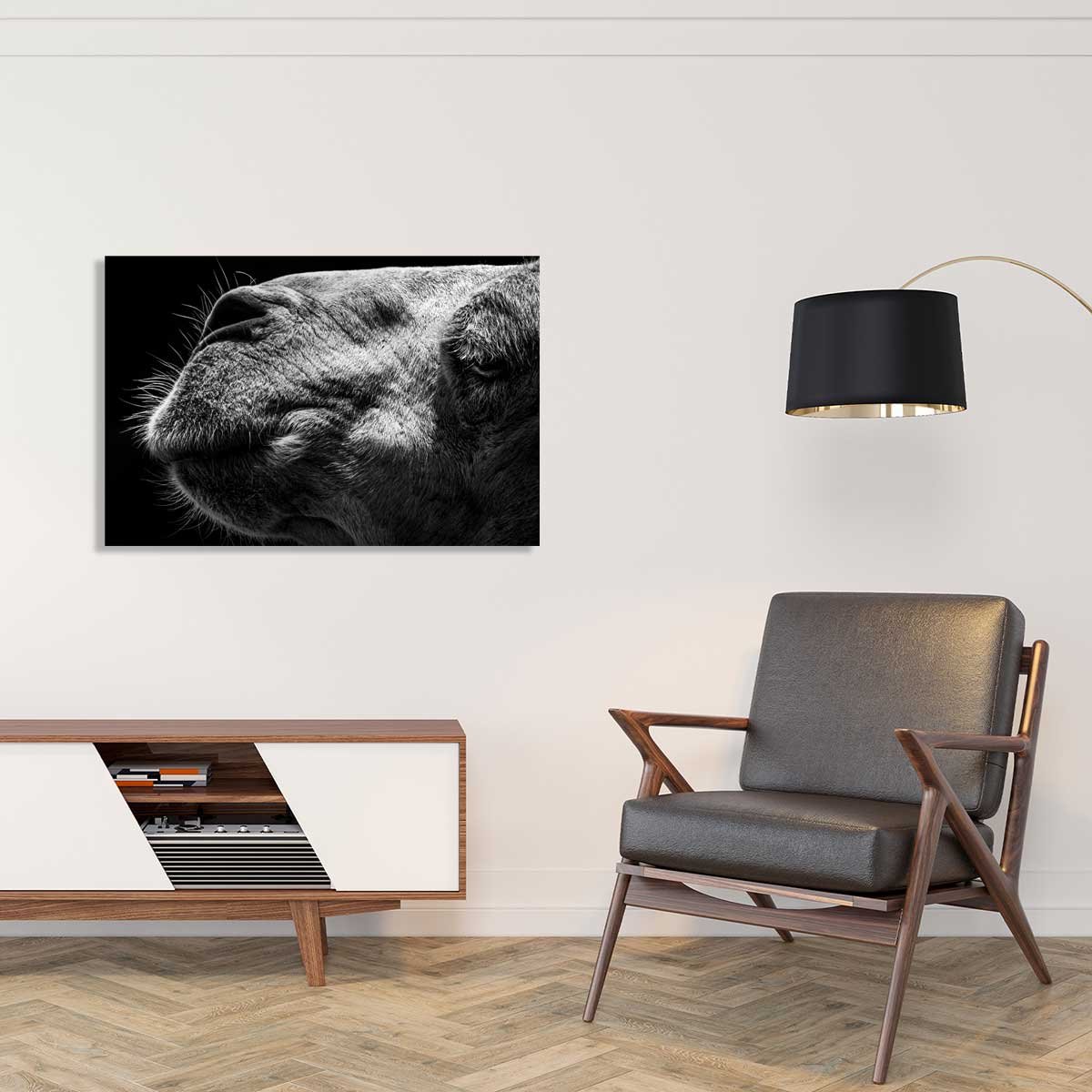 Tableau animaux Portrait de chameau tableau alu dibond, HEXOA