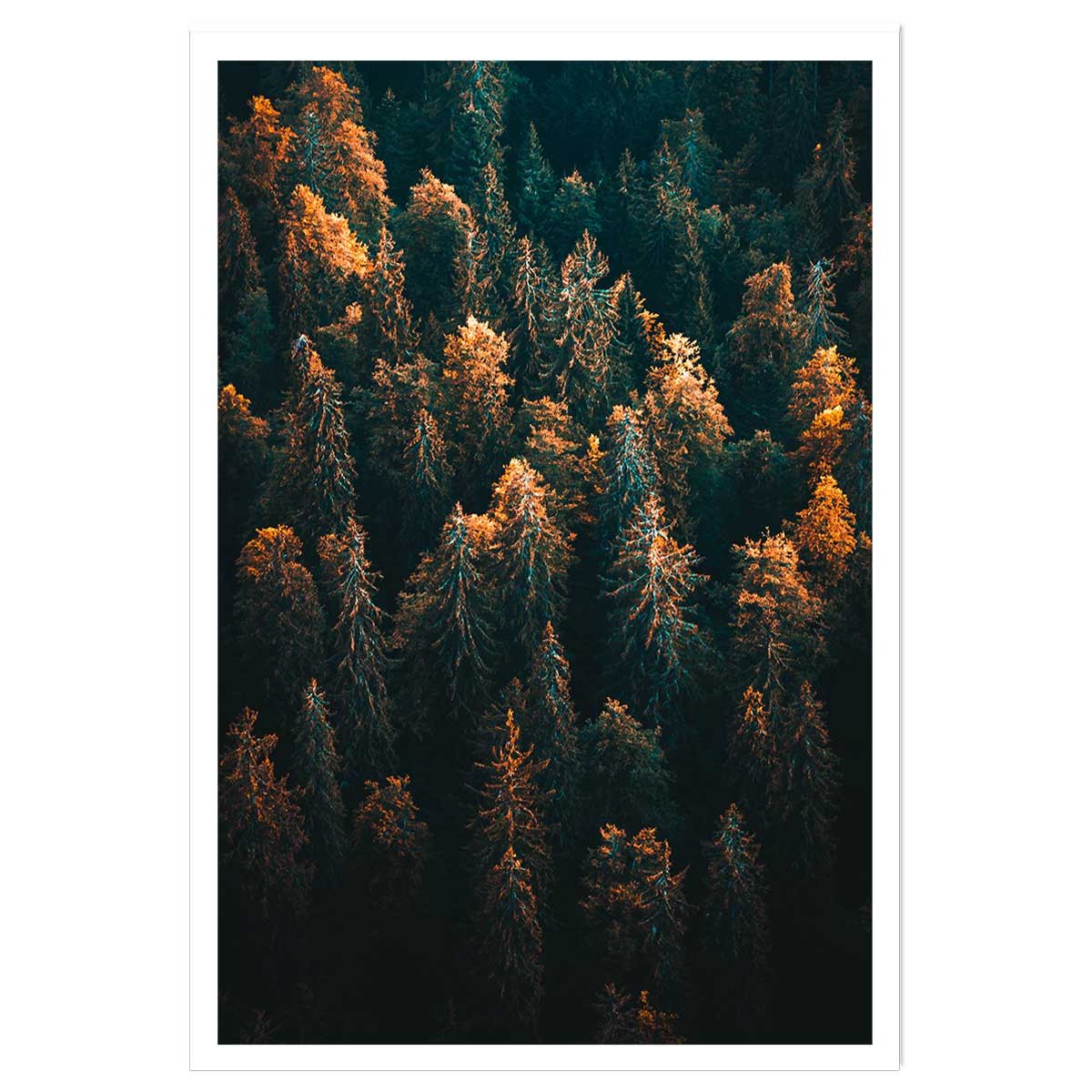 Affiche paysage couleur d'automne en haute savoie affiche seule, HEXOA