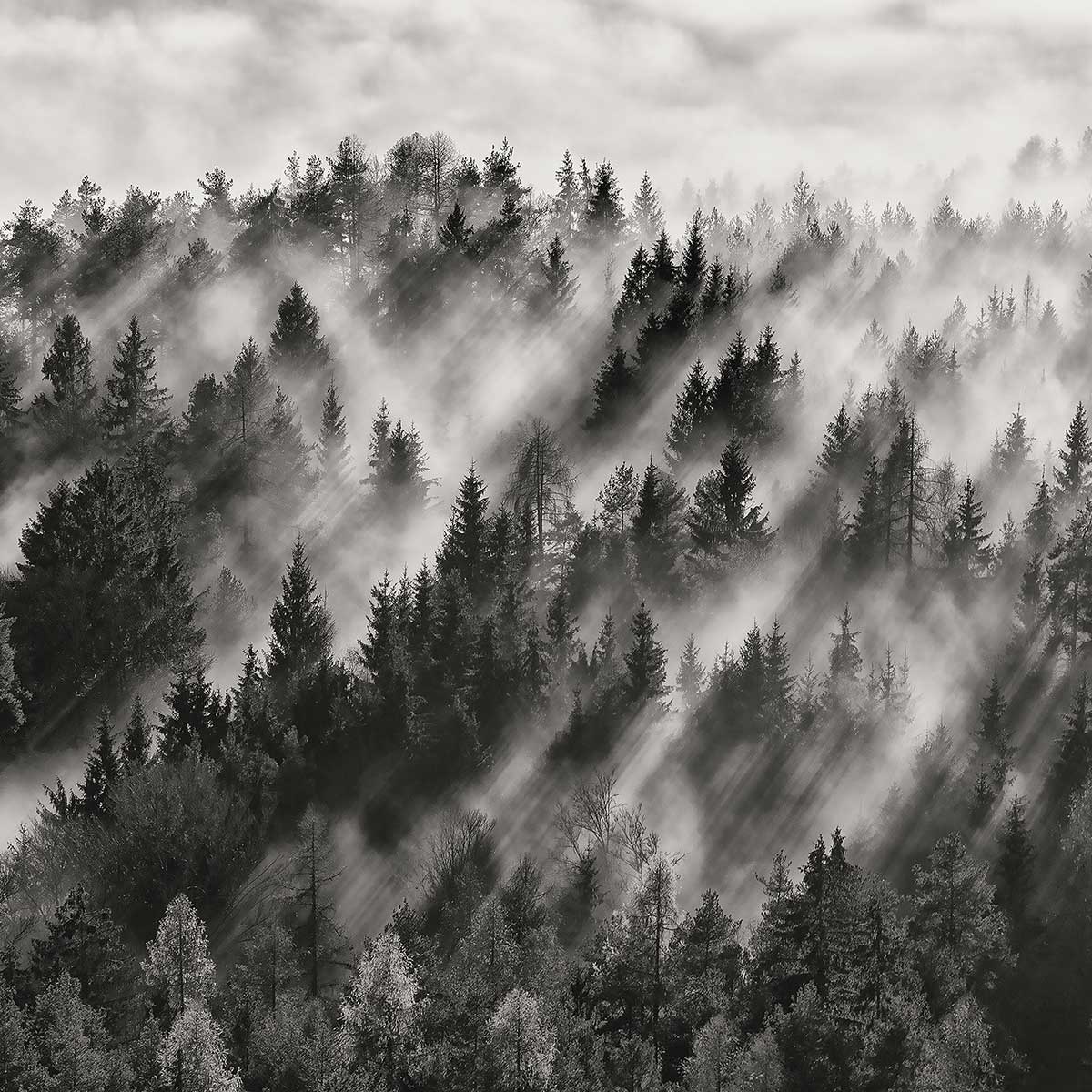 Affiche paysage rayons de lumière affiche + cadre en bois - noir, HEXOA