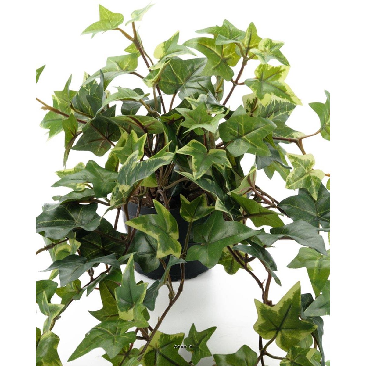 Lierre artificiel panaché retombant en pot, v002239, ARTIFICIELLES