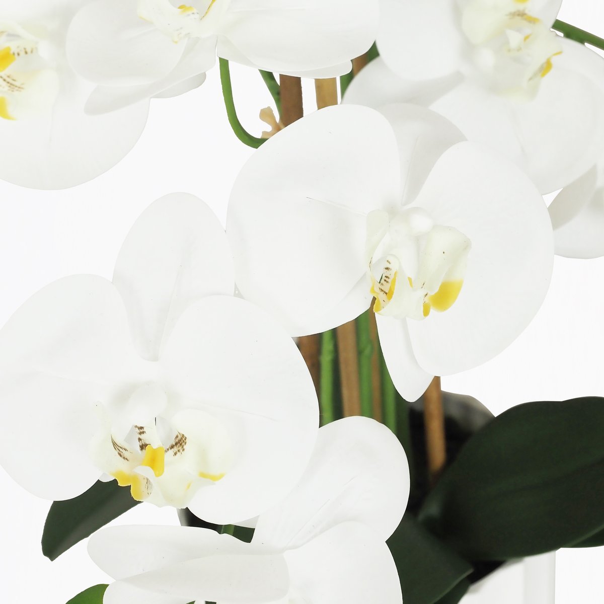Orchidée artificielle toucher naturel 60cm autres, LIGNE DECO