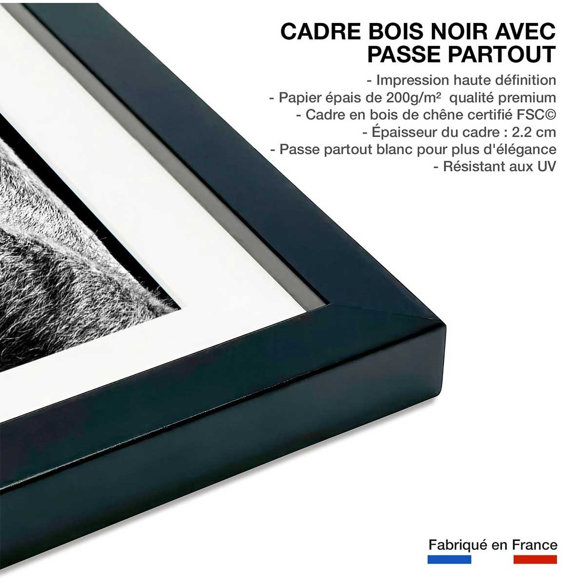 Poster animaux Portrait de chameau affiche + cadre en bois - noir, HEXOA
