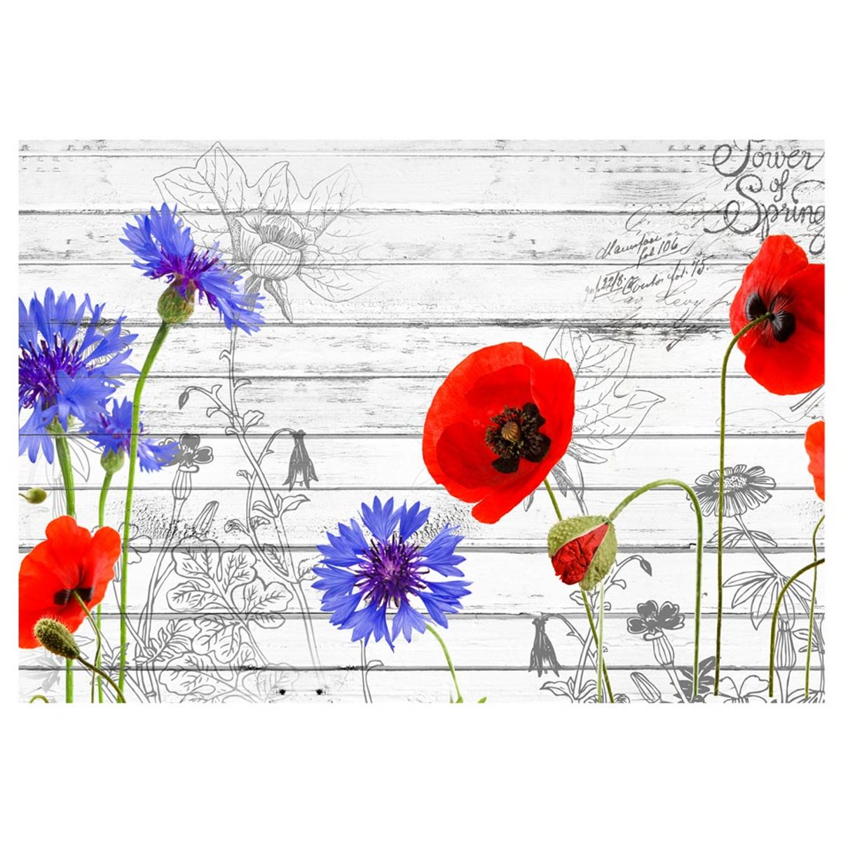 Papier peint intissé panoramique Fleurs Wildflowers gris / argent, EDEN