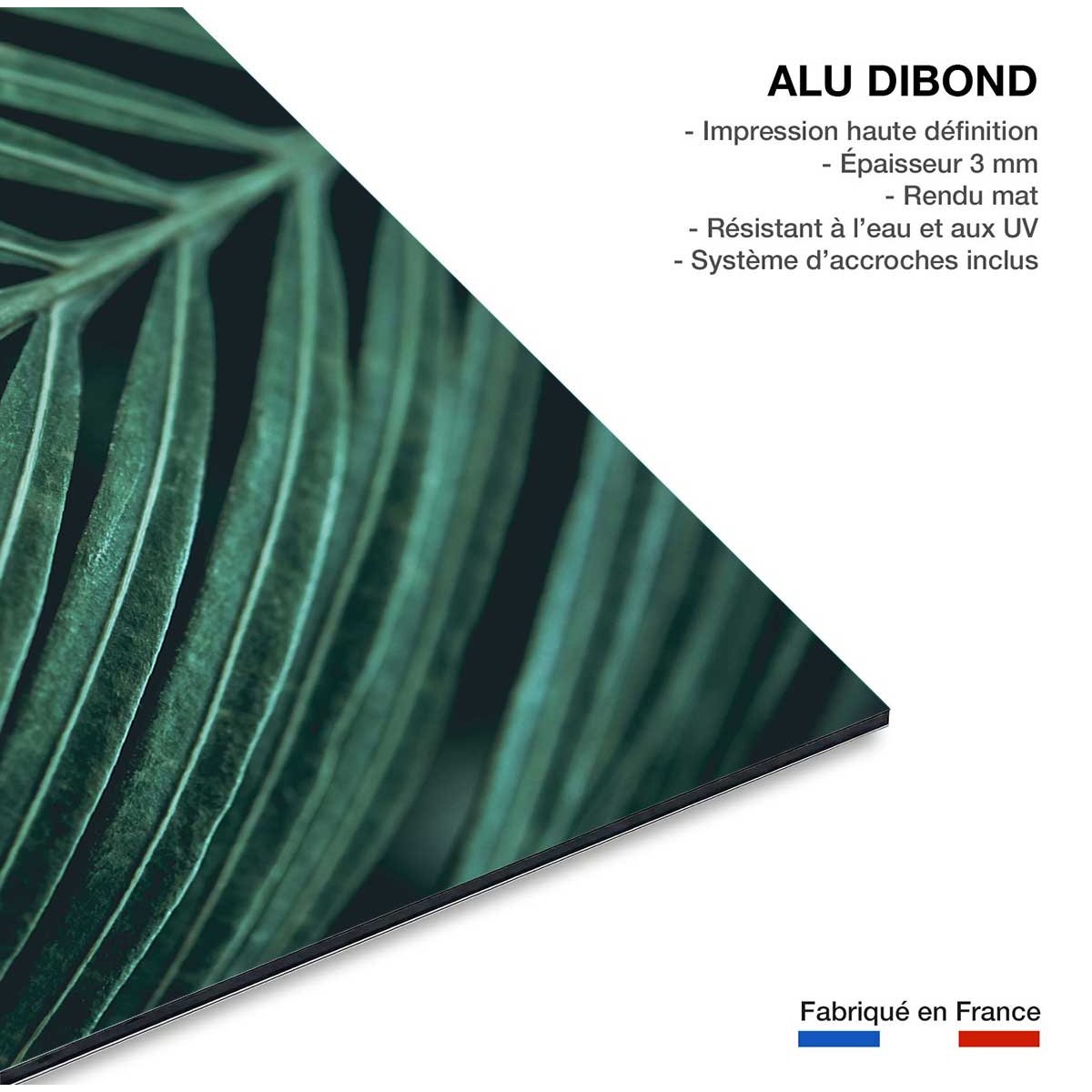 Tableau feuillepalmen tableau alu dibond, HEXOA