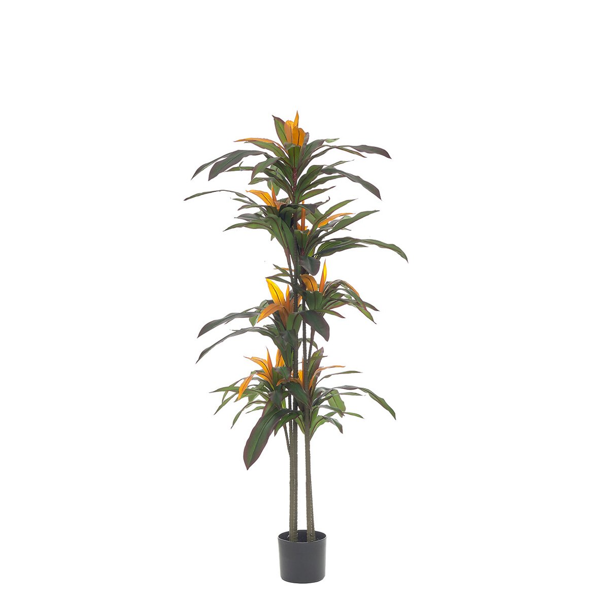 Planta artificial "Dracaena" 170cm, BORGHESI verde, BORGHESI