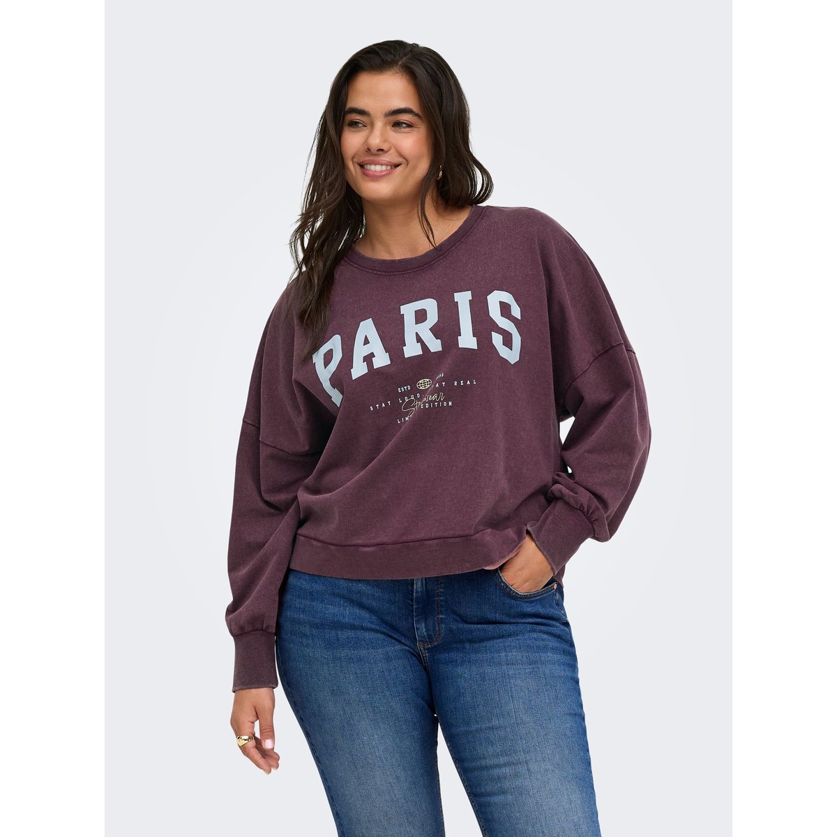 Sweat-Shirt violette - fig 1, ONLY CARMAKOMA