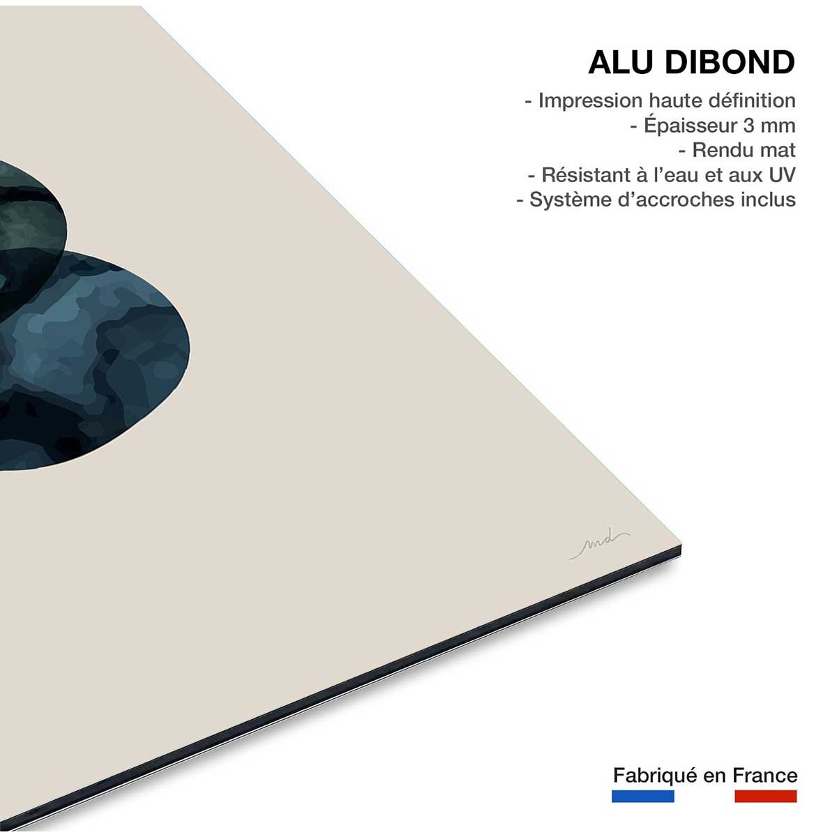 Tableau labradorite vertueuse tableau alu dibond, HEXOA
