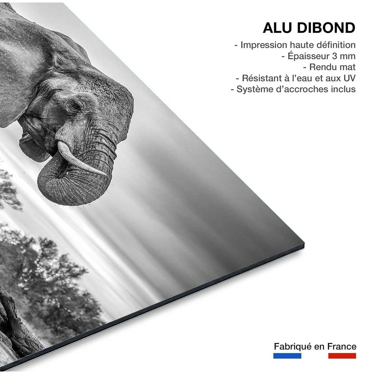 Tableau animaux standing proud tableau alu dibond, HEXOA