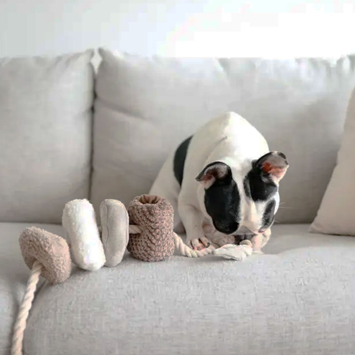Jouet pour chien 4 blocs à mâcher, BLOOCS beige, LAMBWOLF COLLECTIVE