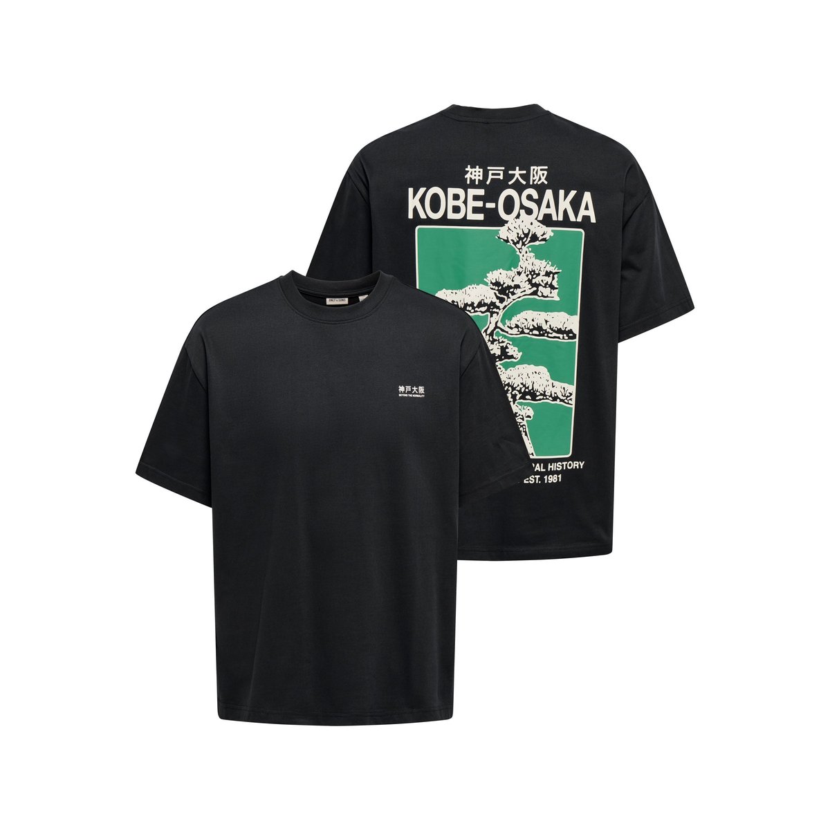 T-Shirt black 1, ONLY & SONS
