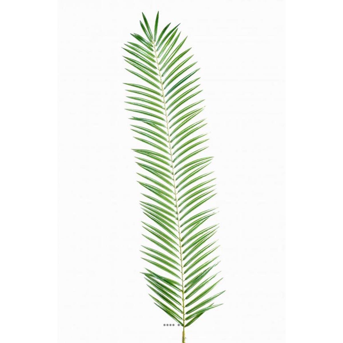 Feuille de palmier Cycas artificielle v002239, ARTIFICIELLES