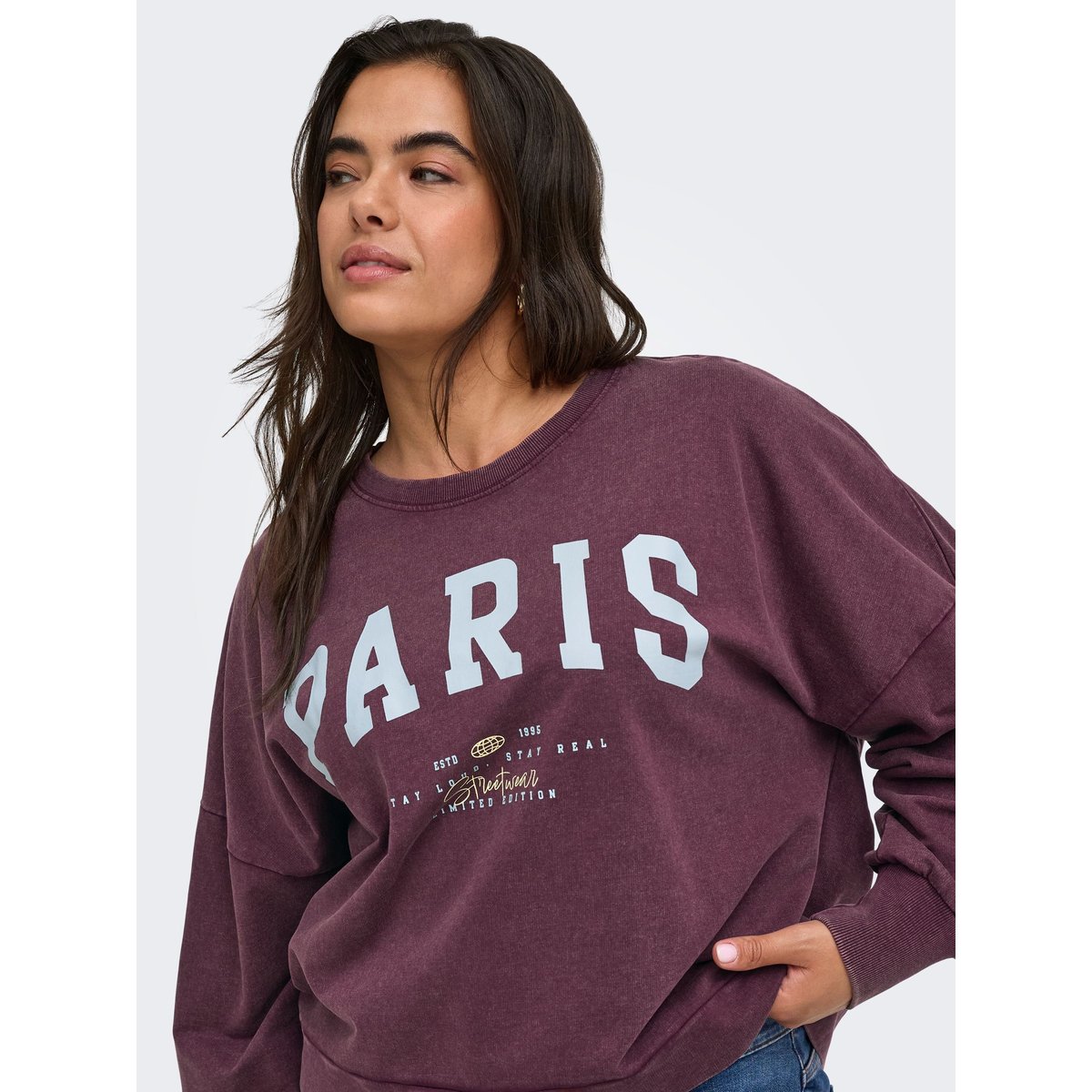 Sweat-Shirt violette - fig 1, ONLY CARMAKOMA