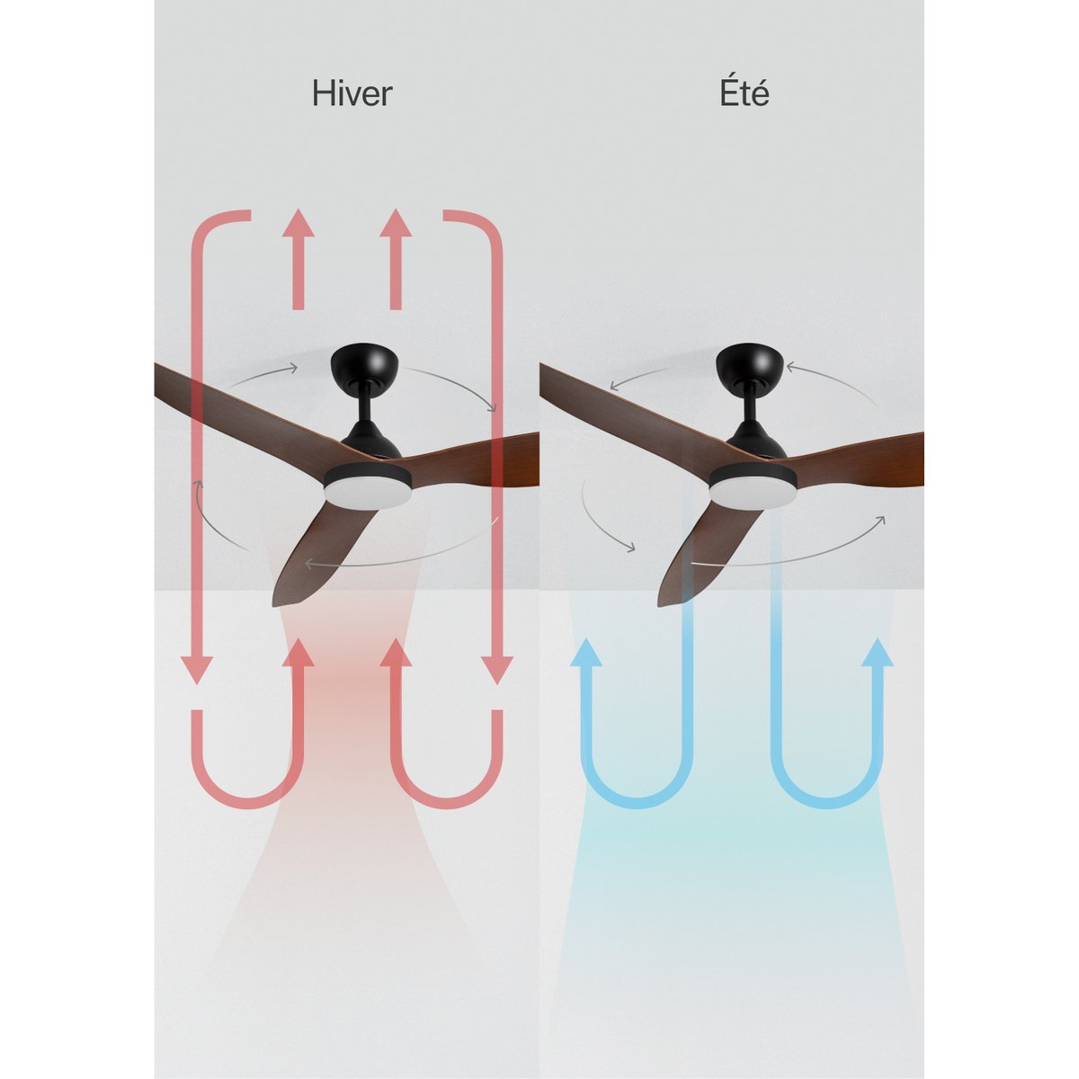 Ventilateur de plafond 40W silencieux avec lumière et télécommande WIND BALANCE noir/bois foncé, CREATE