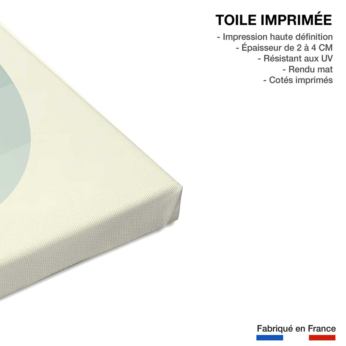Tableau walking on the moon toile imprimée, HEXOA