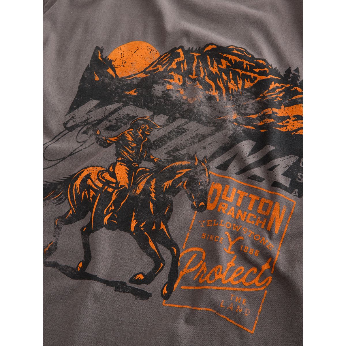 T-shirt yellowstone marron, NEXT