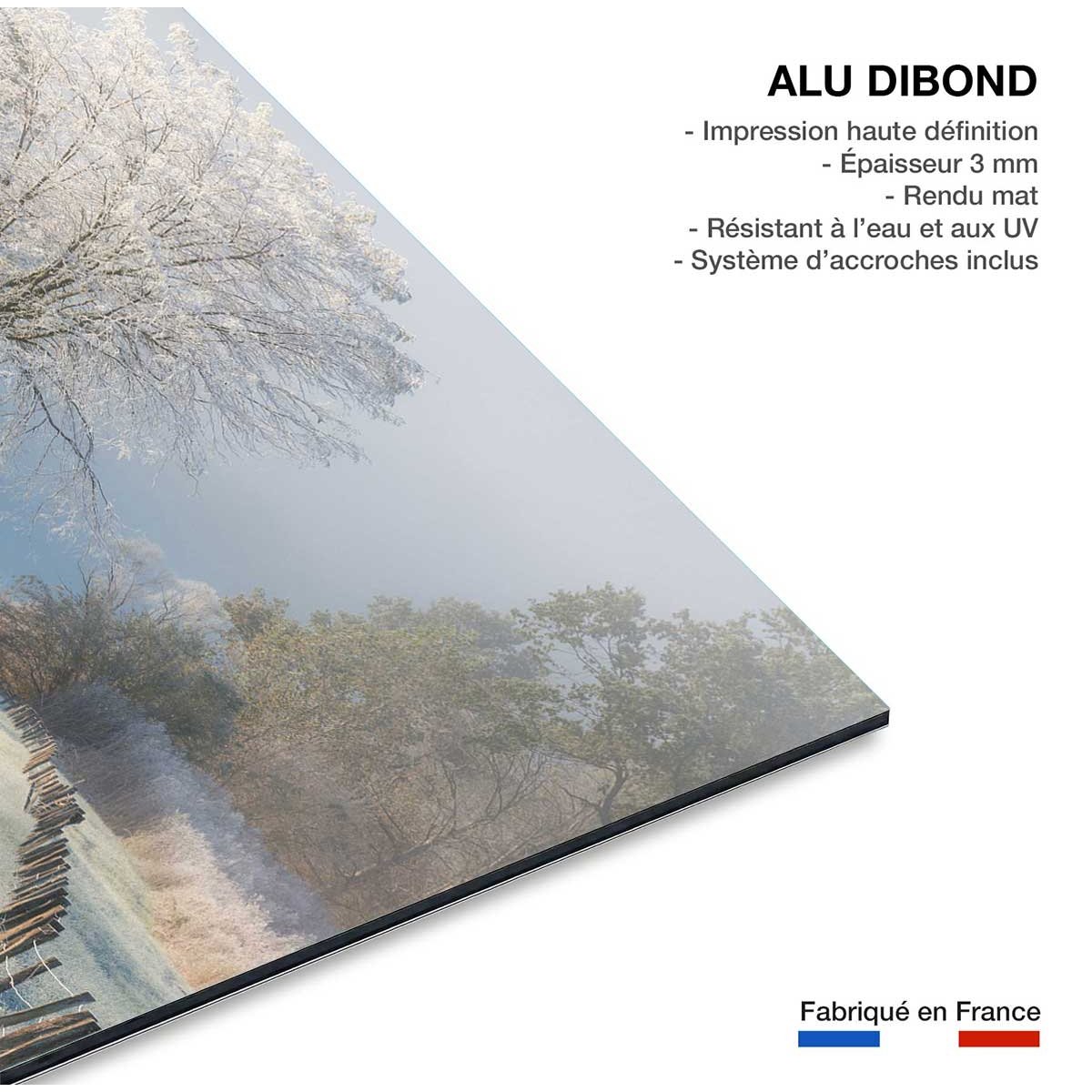 Tableau paysage Un matin glacial tableau alu dibond, HEXOA