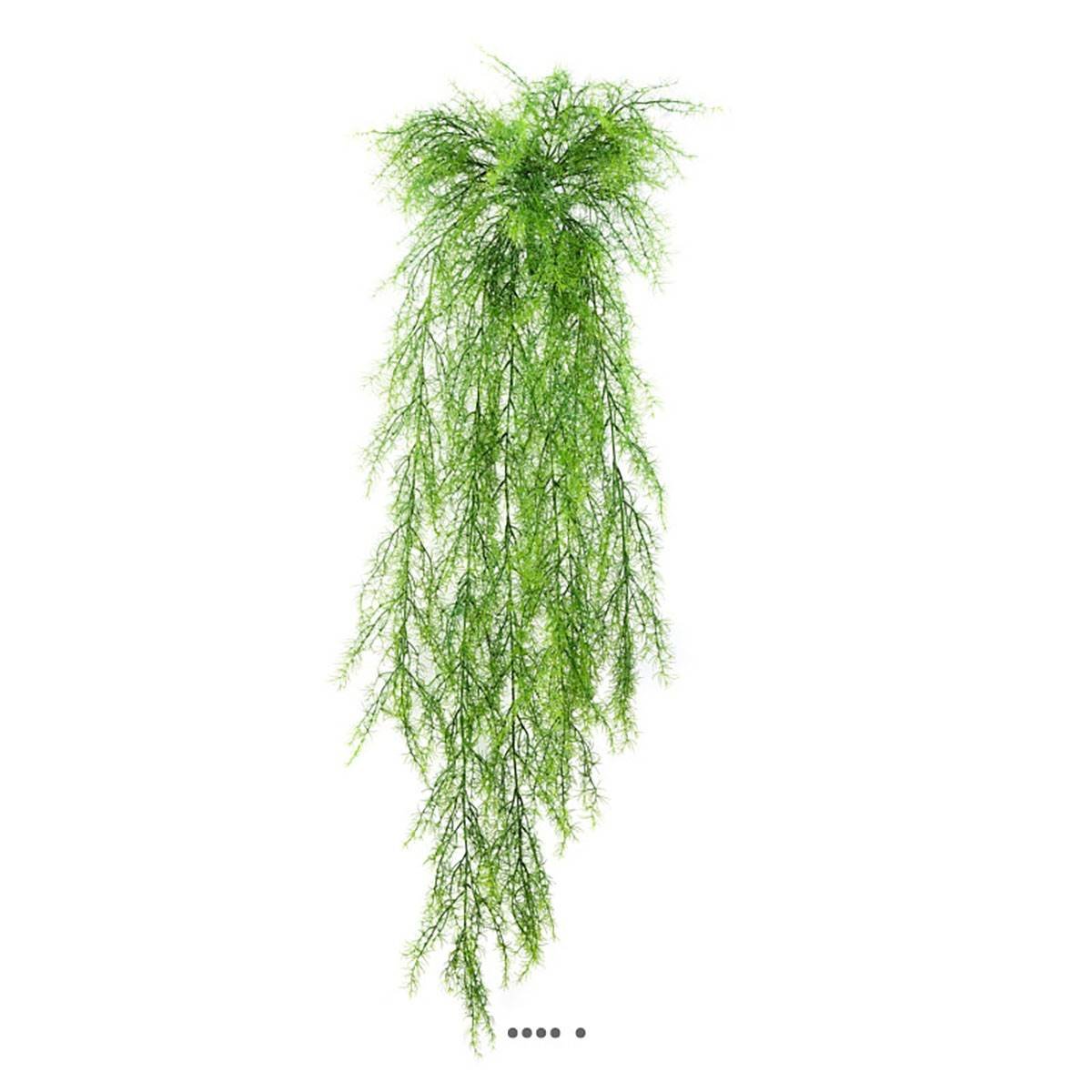 Chute d'asparagus sprengeri artifi v002239, ARTIFICIELLES