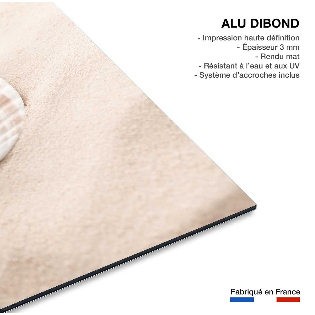 Tableau coquillage tableau alu dibond, HEXOA