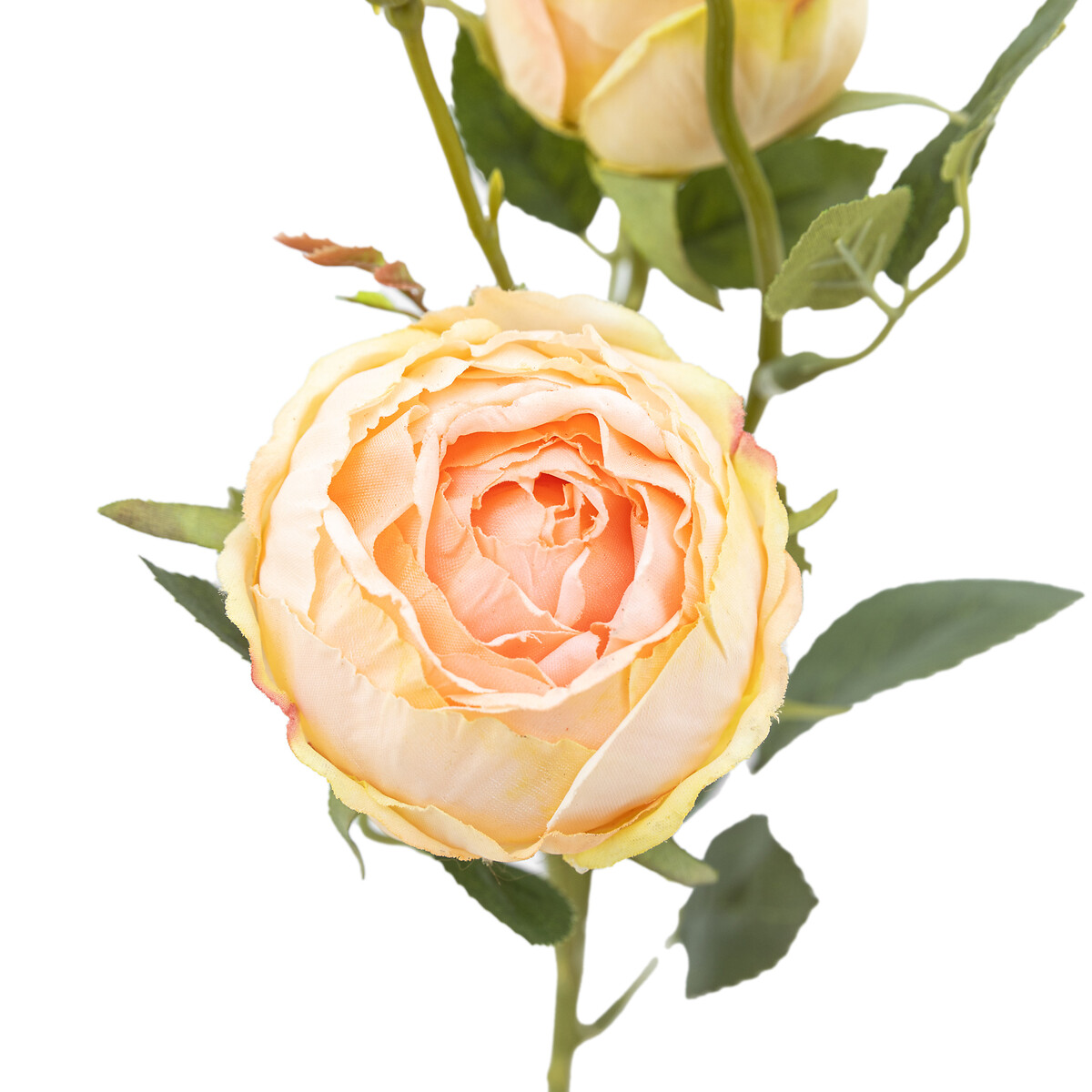 6pk 54cm Vintage Rose Faux Stems white, SO'HOME