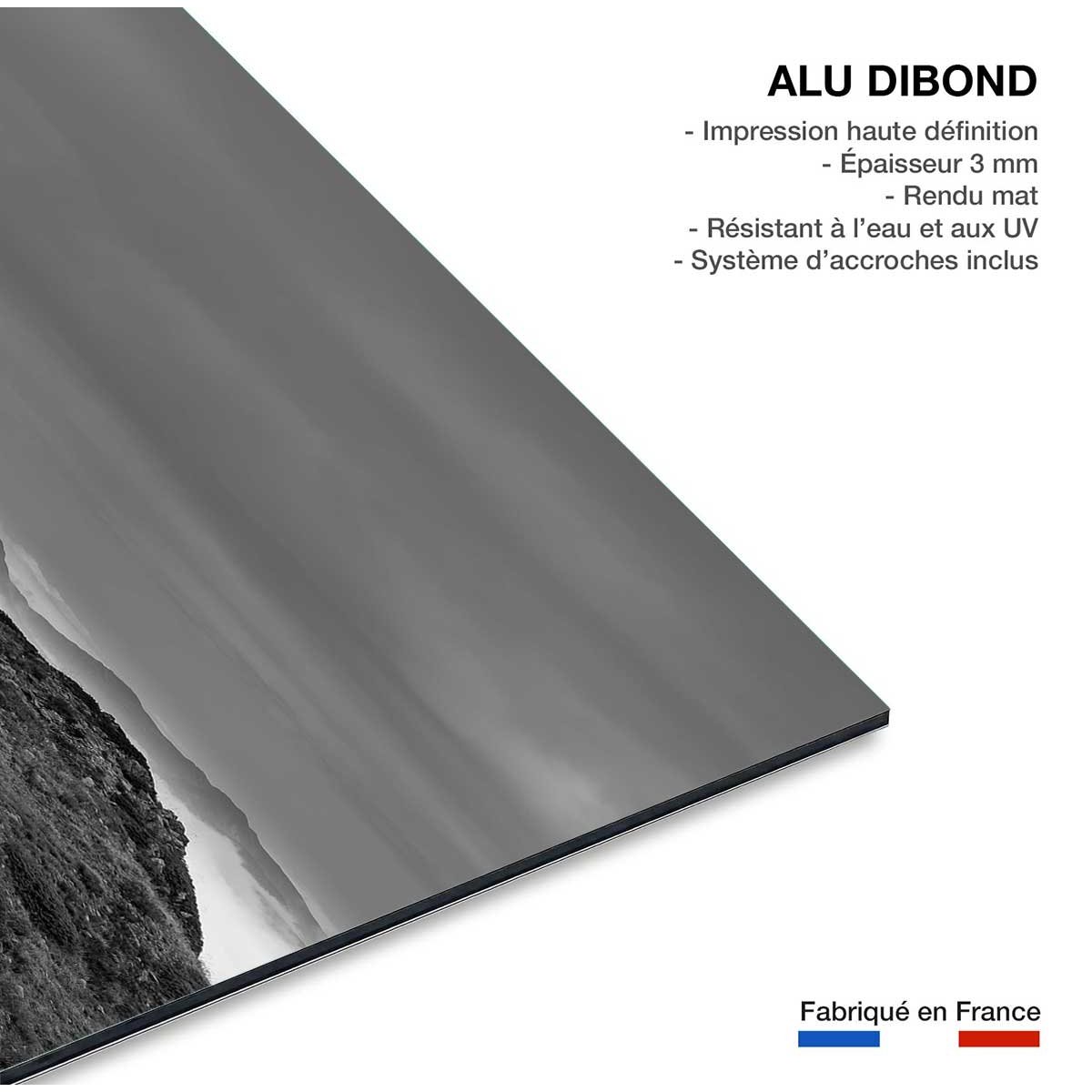 Tableau chamois et mercantour tableau alu dibond, HEXOA