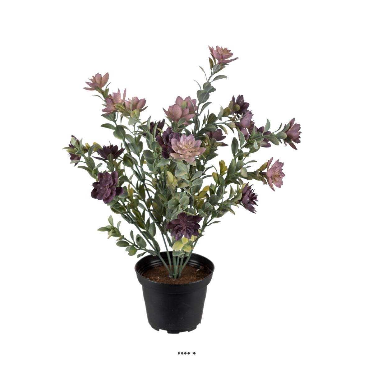 Succulente fleurie factice en pot cactée Vio v002236, ARTIFICIELLES