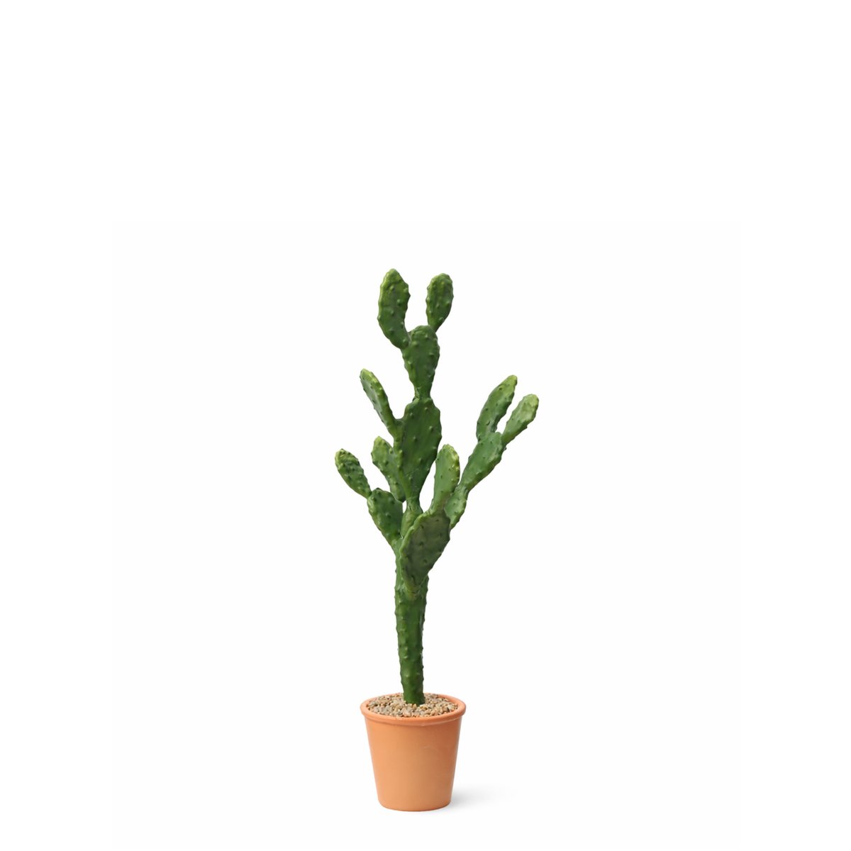 Cactus artificiel en pot H78 vert, SIA DECO