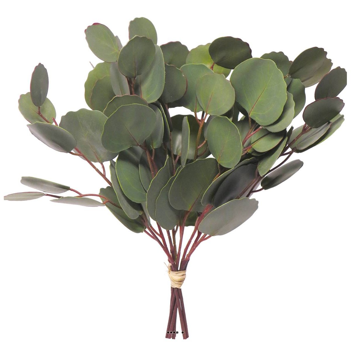 Buisson de branches d’eucalyptus artifi v002239, ARTIFICIELLES