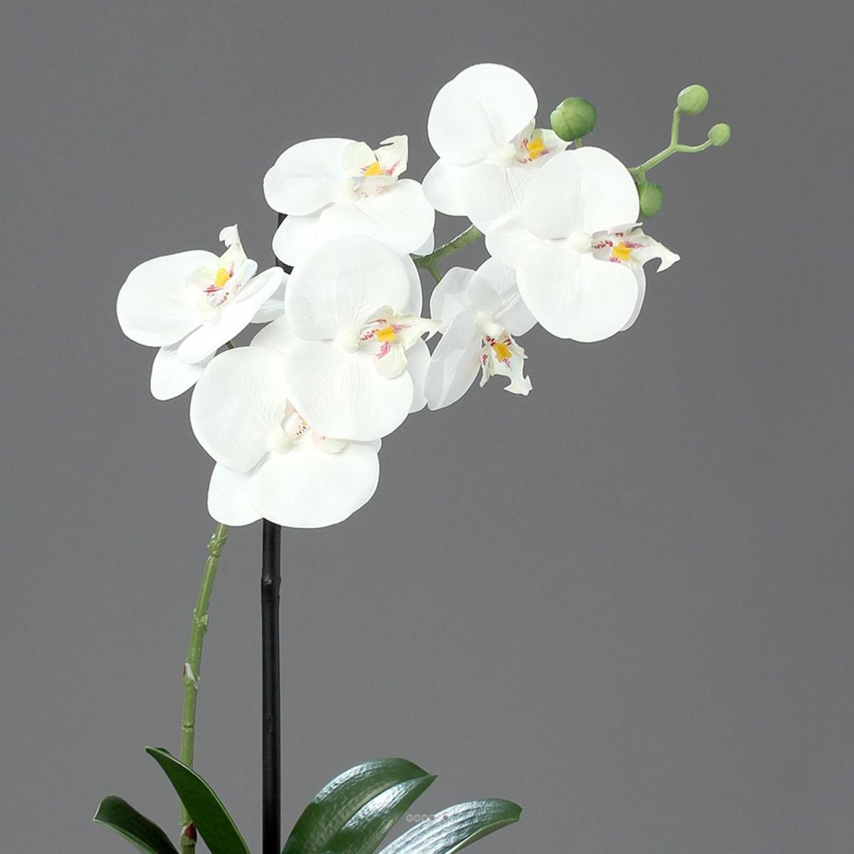Orchidée factice 1 hampe coupe céramique H40 blanc neige, ARTIFICIELLES