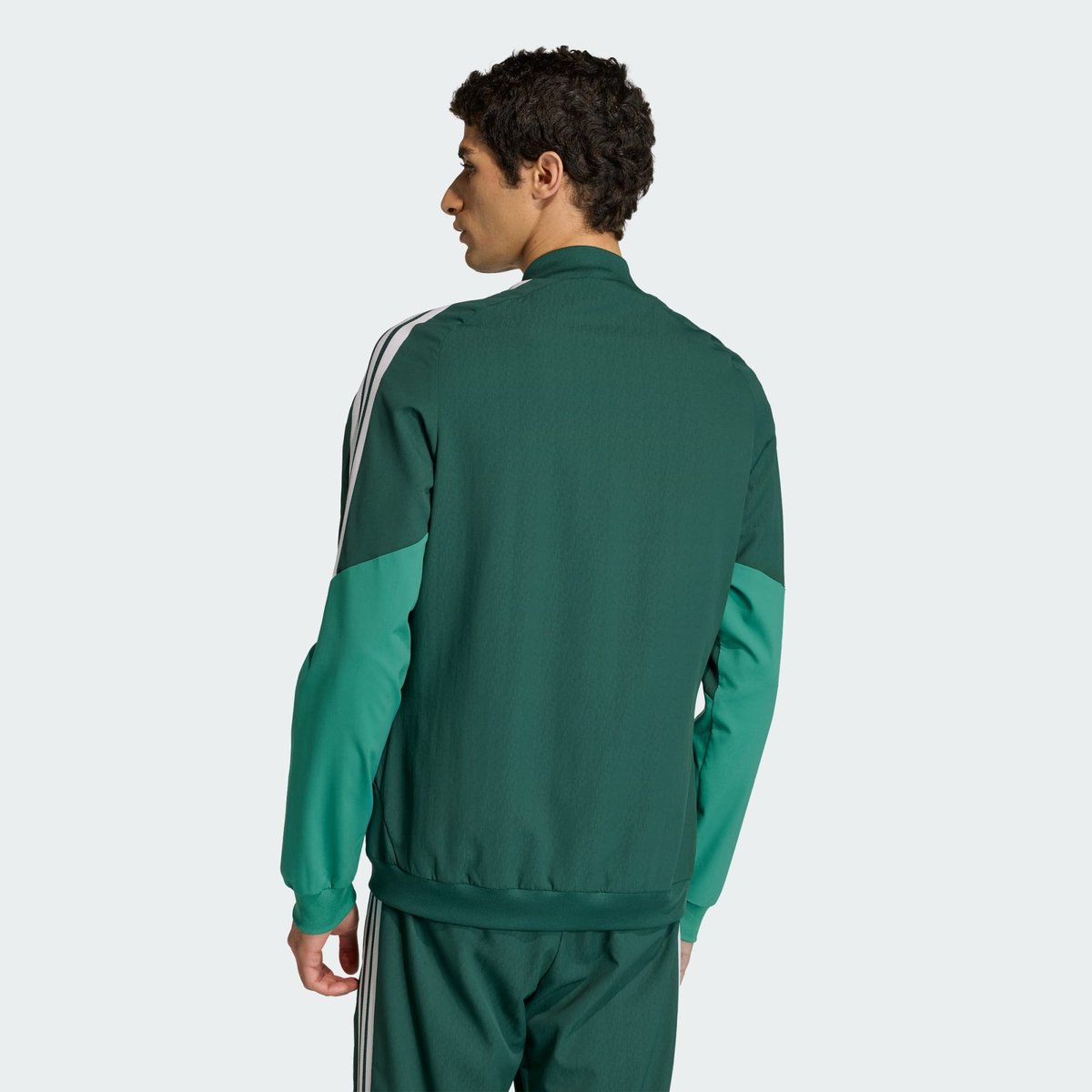 Veste De Présentation Algérie 26 team dark green, adidas Performance