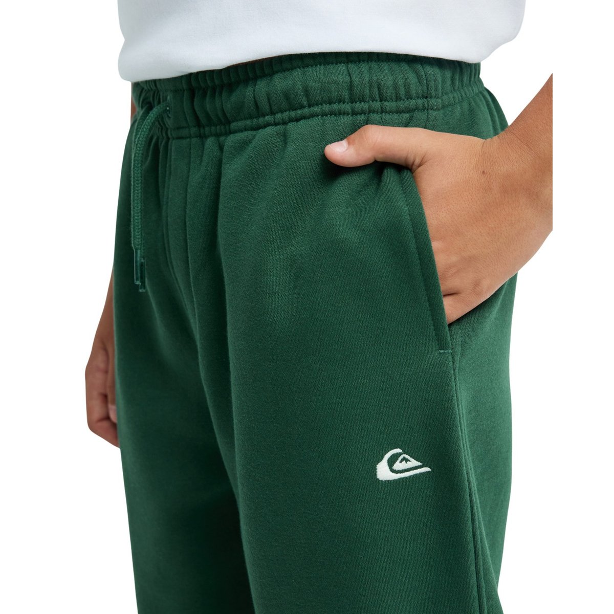 Pantalon de jogging REGULAR vert forest, QUIKSILVER