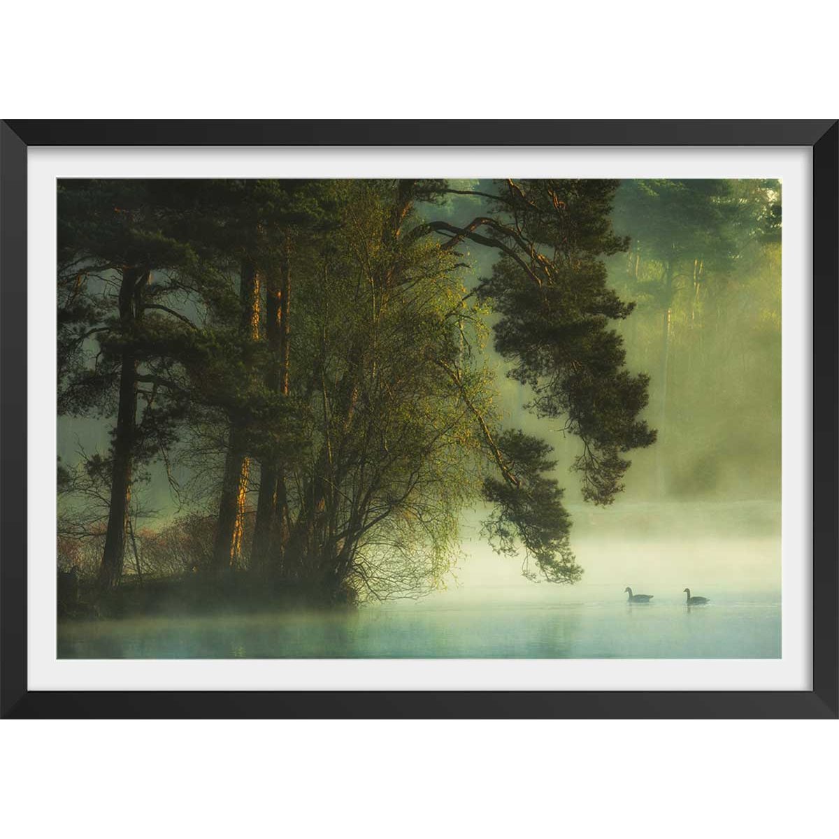 Affiche paysage marais neerlandais affiche + cadre en bois - noir, HEXOA