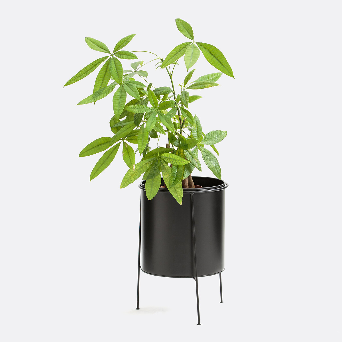 Cache-pot sur pied métal fer peint Ø30 cm, INAYA noir/noir, LA REDOUTE INTERIEURS