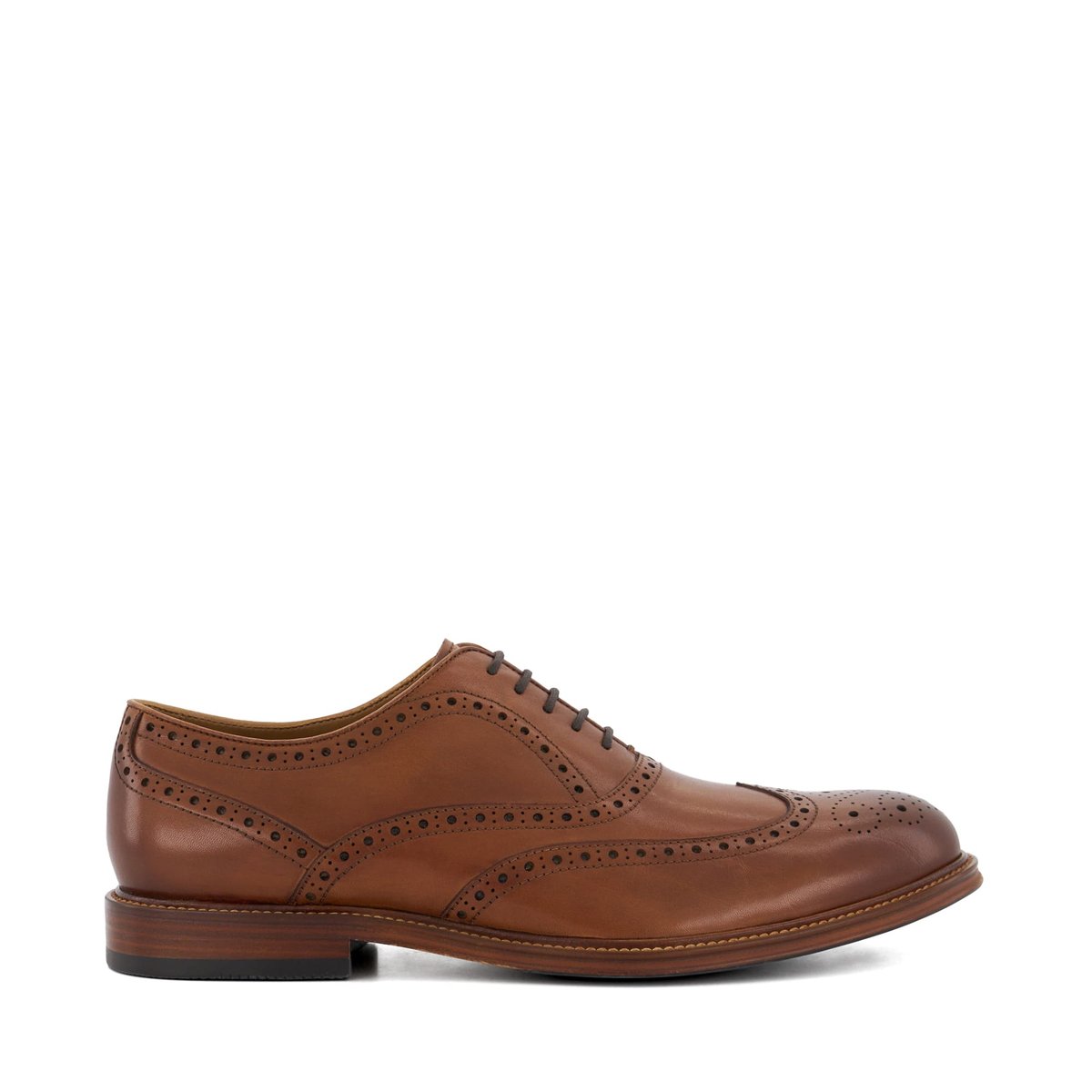 Chaussures Richelieu à bout golf - SOLIHULL tan-leather, DUNE LONDON