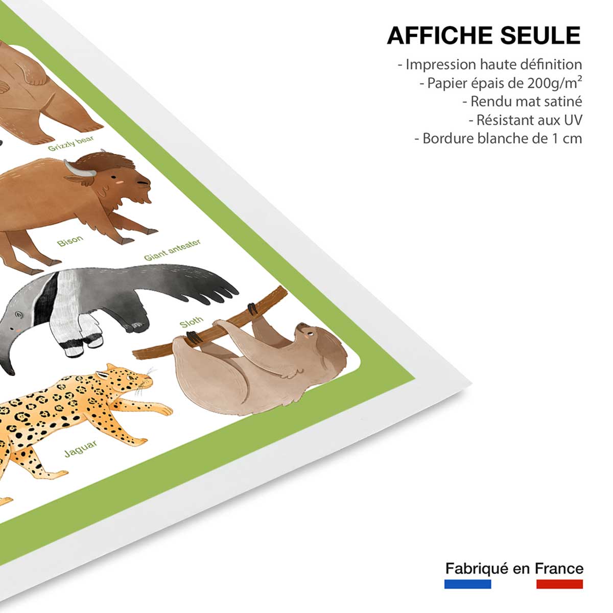 Affiche enfant animaux d'amérique affiche seule, HEXOA
