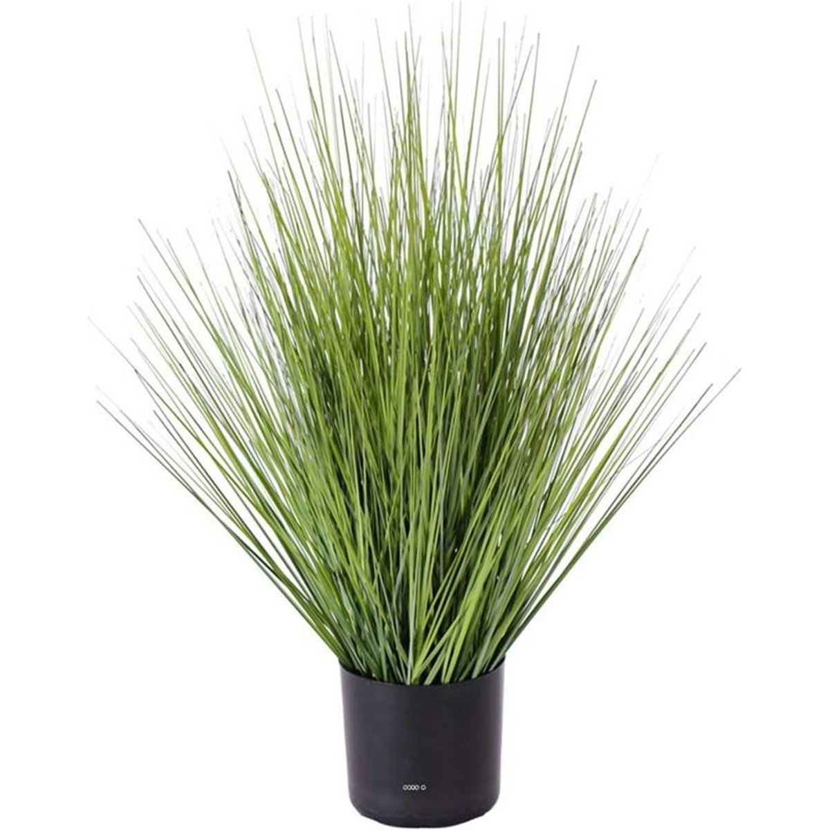 Isolepsis Herbes Graminees artificielles Vert v002239, ARTIFICIELLES