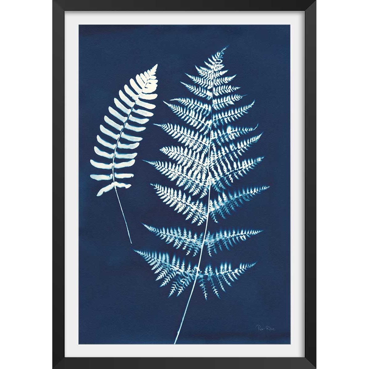 Affiche Duo fougères bleues affiche + cadre en bois - noir, HEXOA