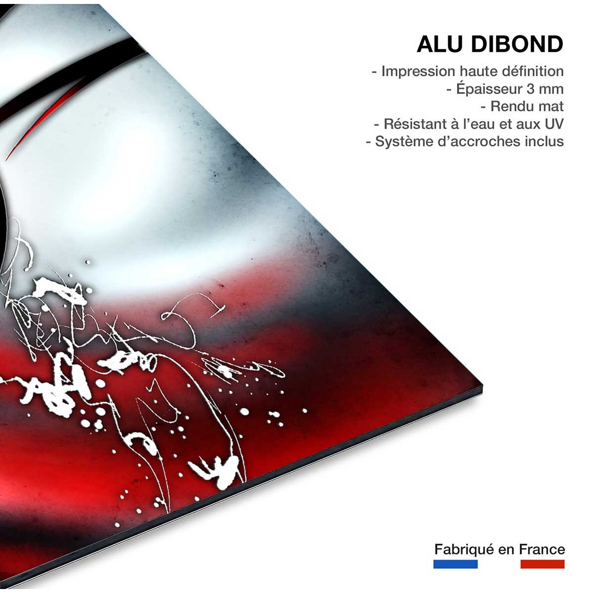 Tableau coloré abstrait le cercle tableau alu dibond, HEXOA