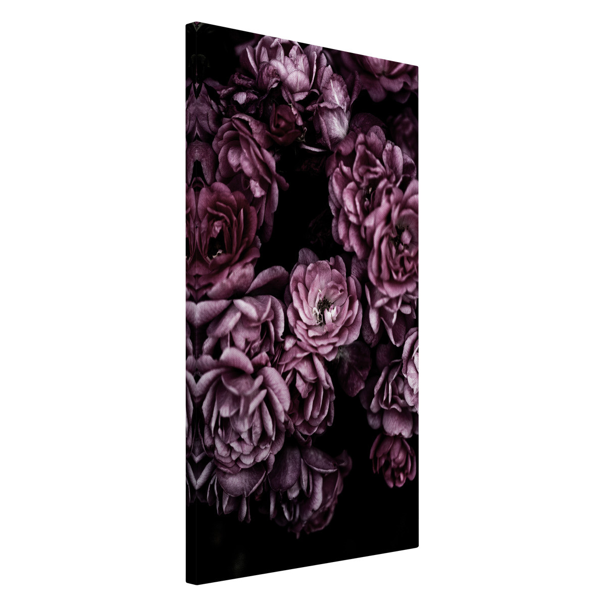 Tableau Sur Toile Romance Florale FLEUR tableaux sur toile-rose, CEANOTHE