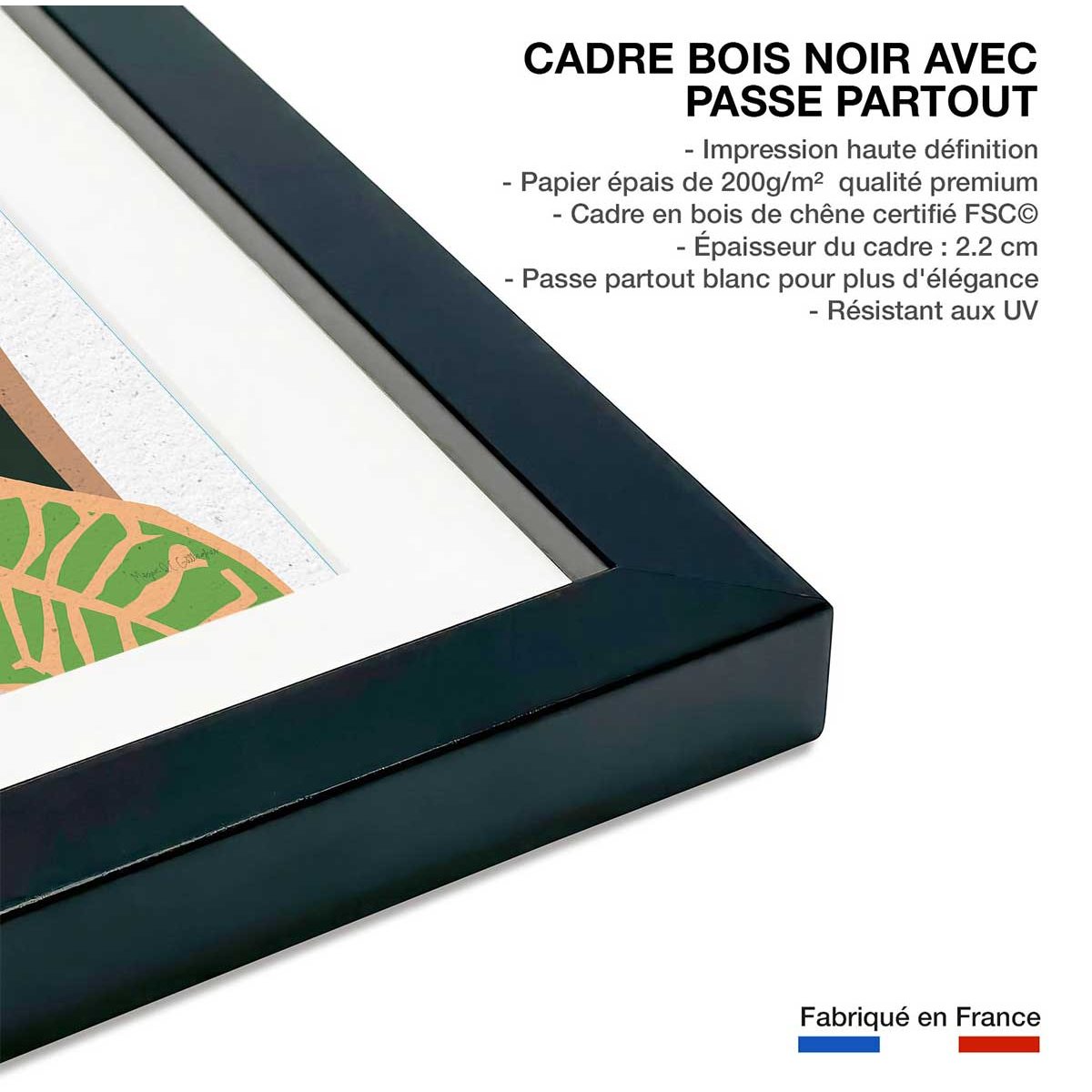 Poster colorful plants affiche + cadre en bois - noir, HEXOA