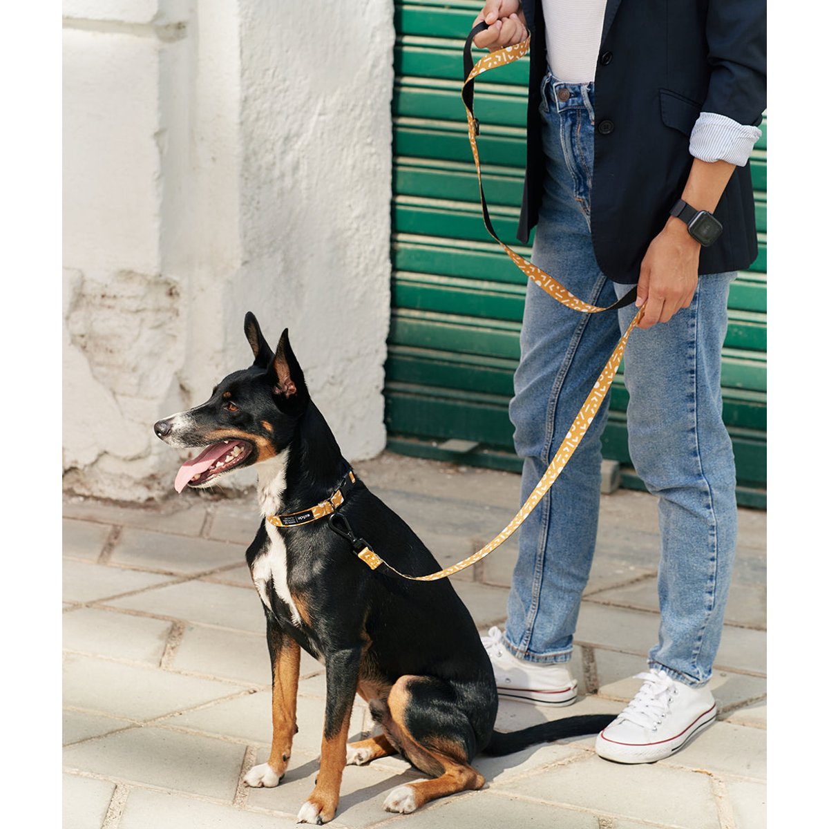 Laisse PET recyclé memphis design, JUNO orange, CAFIDE